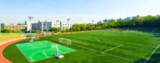 Naumi Business School Infrastructure photo 10